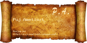 Puj Ametiszt névjegykártya